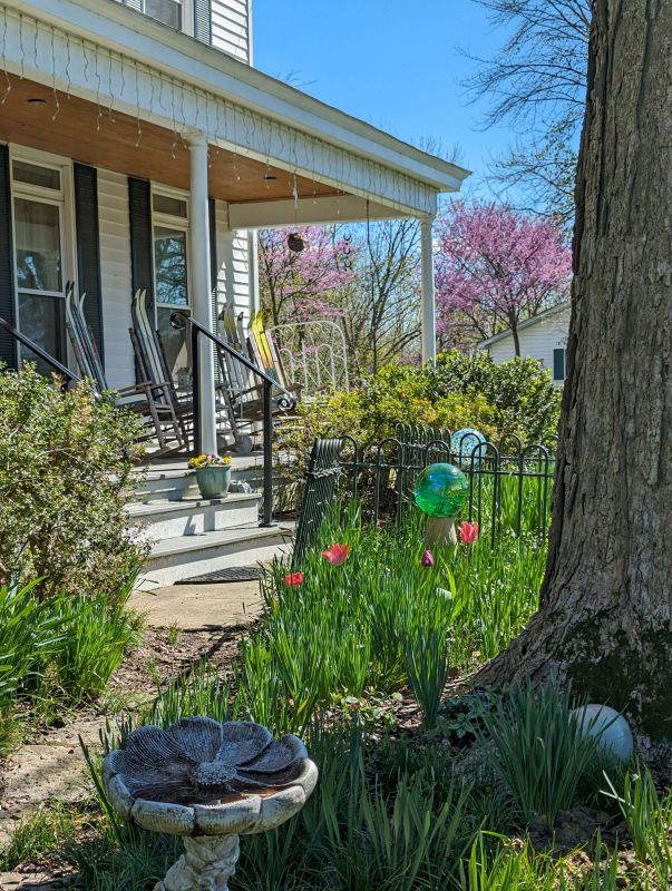 Front porch with redbud trees.