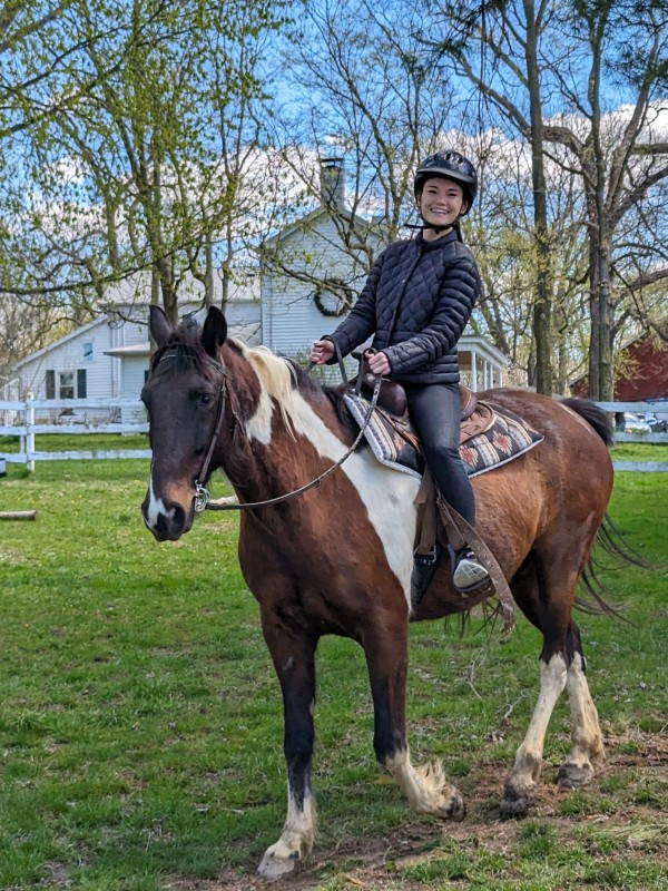 Smiling rider on black and white Kentucky Mountain Horse.