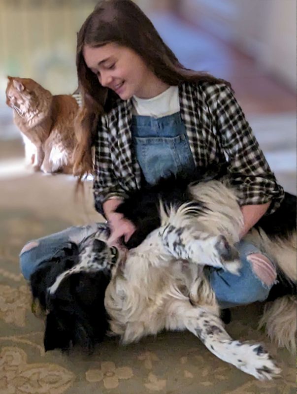 Smiling girl cuddles Border Collie while orange cat sits.
