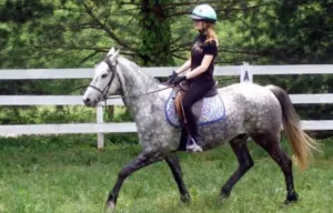 How to ride a crabby mare (or obnoxious gelding)