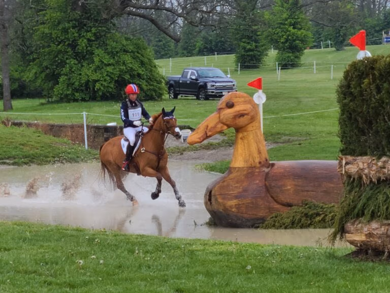 Horse entering water jump at Kentucky Horse Park.