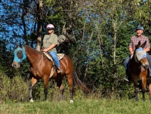 Ten Similarities between Horseback Riding and Skiing
