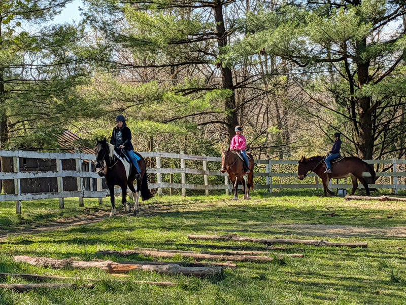 Three riders in arena.