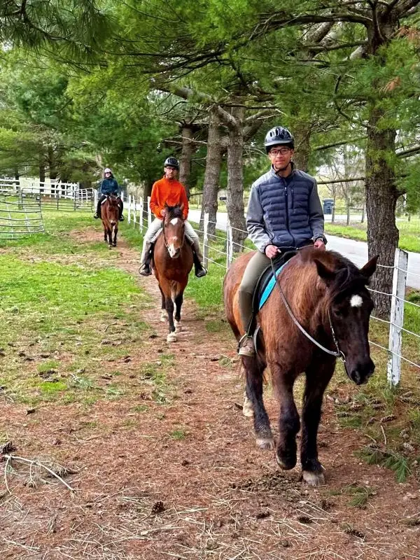 Couple visit with black horse.